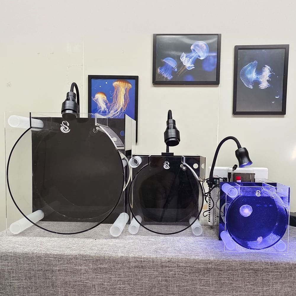 The Importance of Canister Filters in Large Aquarium Systems