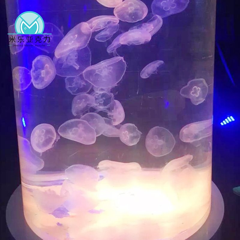 Different Style cheap newly designed Round glass Aquarium Acrylic fish tank