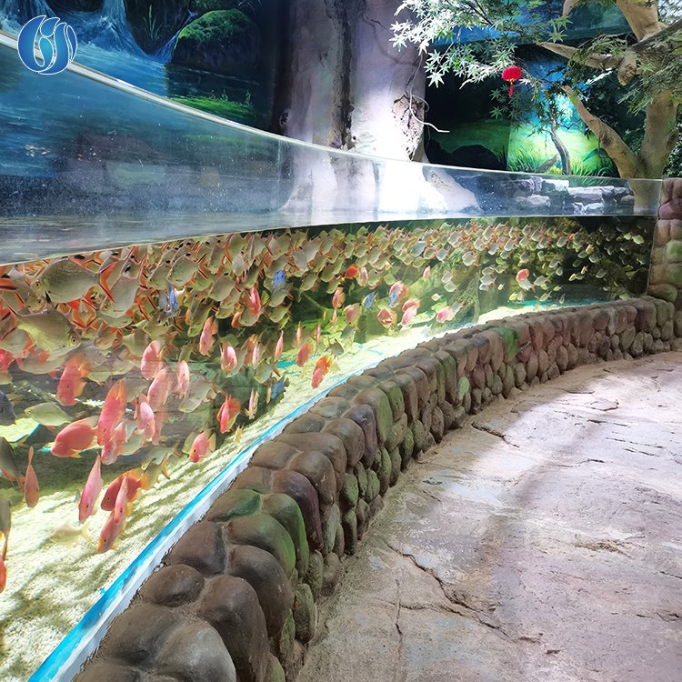 Big Size Thick Modern Style Clear Aquariums, Aquarium Tank Acrylic electrical/low noise/usb/Flea/Comb