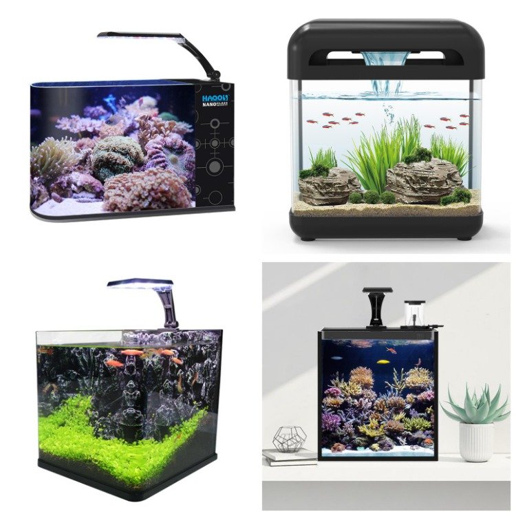 Table Aquarium Curvedcurved Fish Tank Saltwater Marine Fish Tank Aquarium