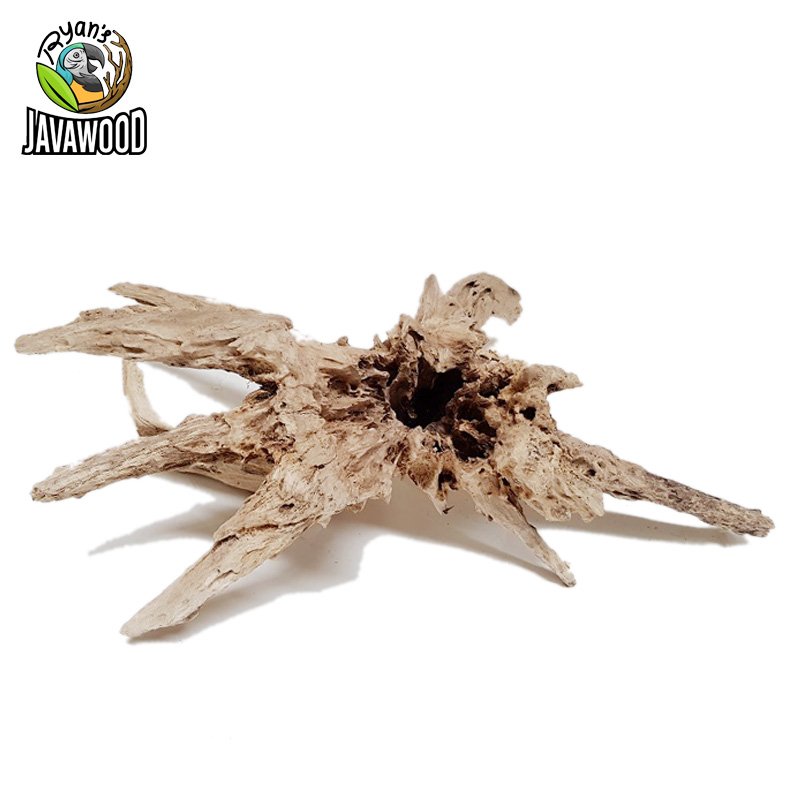 decorative aquascaping wood vivarium decoration natural aquascape bonsai malaysian driftwood aquarium fish tank home decor
