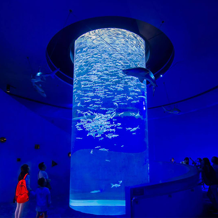Aquariums Aquarium & Accessory Type and Eco-Friendly Feature Marine Acrylic Fish Tank