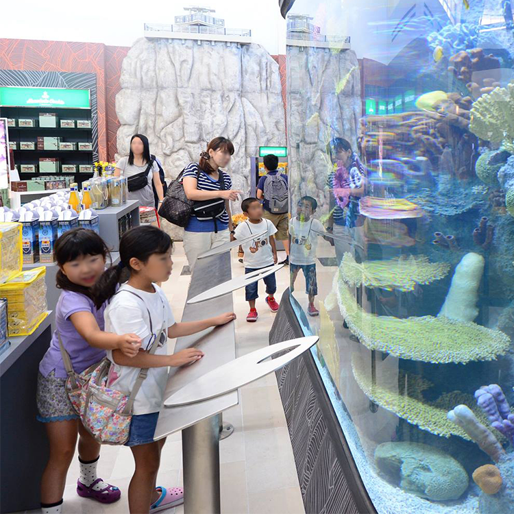 Aquariums Aquarium & Accessory Type and Eco-Friendly Feature Marine Acrylic Fish Tank