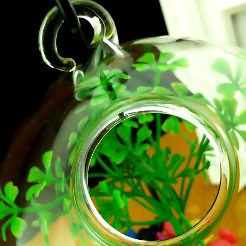 Desktop Hanging Glass Fish Tank Mini Grass Fun Fish Tank Clear Fish Cylinder Bowl Iron Stand Holder Aquarium Accessories Flower