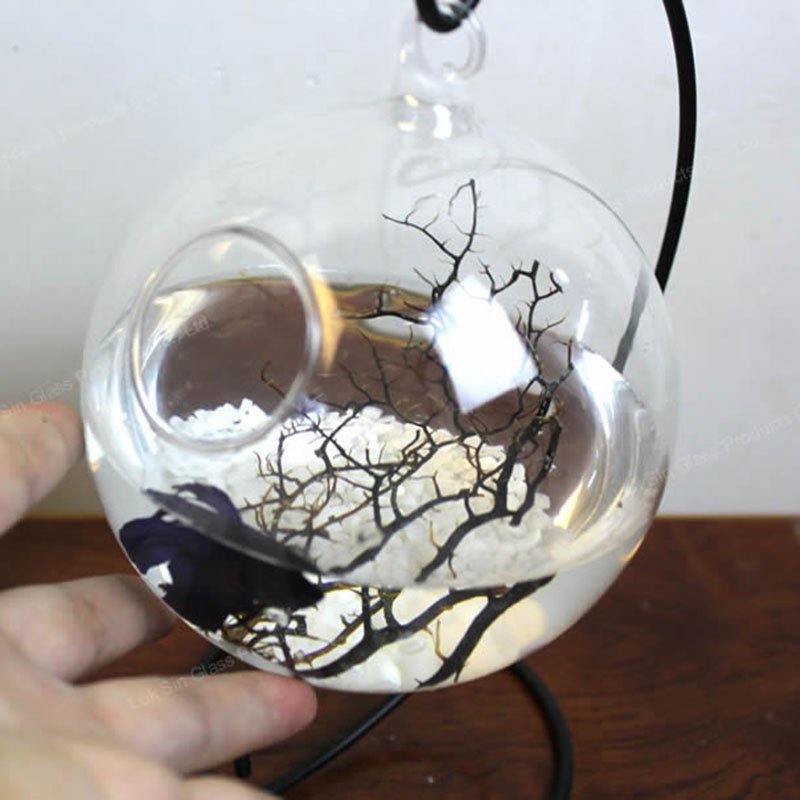 Desktop Hanging Glass Fish Tank Mini Grass Fun Fish Tank Clear Fish Cylinder Bowl Iron Stand Holder Aquarium Accessories Flower