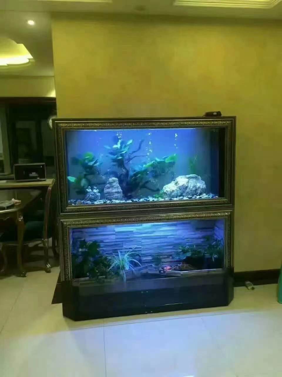 Cade The Latest Coral Super White Glass Aquarium Fish Wide No Border Aquarium Tank