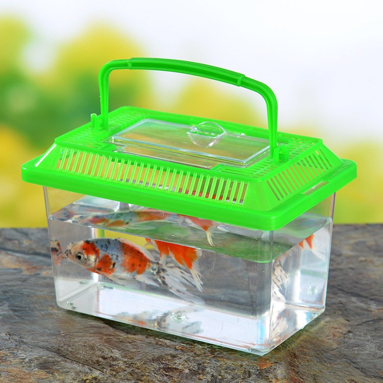 Factory wholesale Mini Portable Plastic Fish Tank Aquarium With Lid Fish Breeding Box Tortoise Reptile Small PP Fish tank