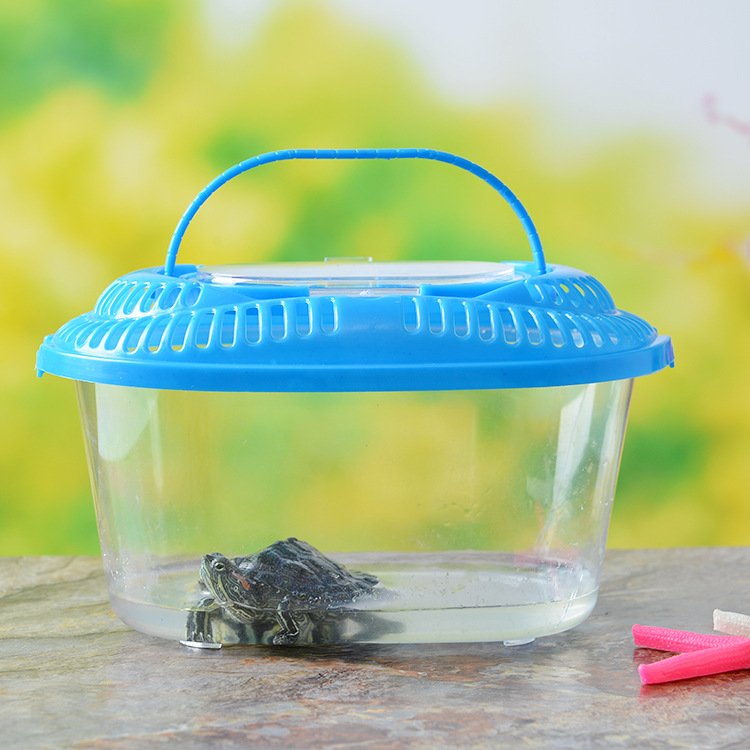 Factory wholesale Mini Portable Plastic Fish Tank Aquarium With Lid Fish Breeding Box Tortoise Reptile Small PP Fish tank