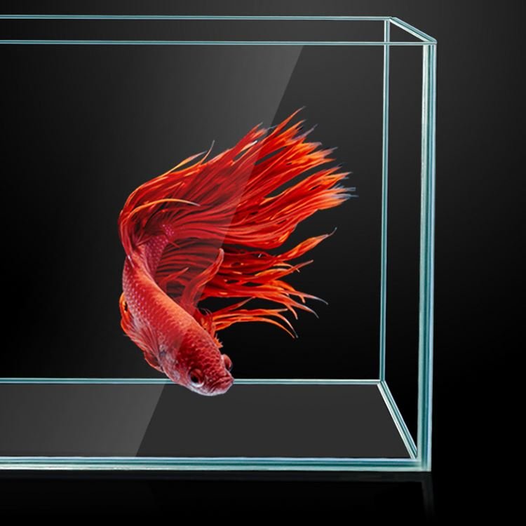 Sunsun HE Series Customized Multi Size Ultra-white Glass Back Filter System Aquarium Fish Tank