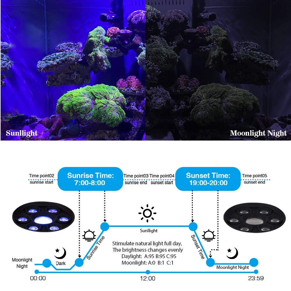 Ctlite 60W G7 3channels Dimming Individually Sunrise Sunset Group Control Full Spectrum LED Aquarium Lights