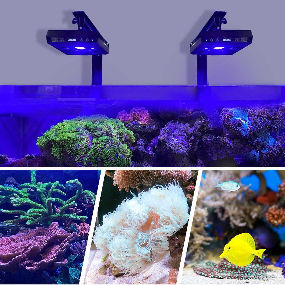 Ctlite 60W G7 3channels Dimming Individually Sunrise Sunset Group Control Full Spectrum LED Aquarium Lights