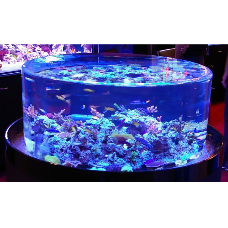Custom High Transparency Cylindrical Shape Home Fish Tank Aquarium Large Acrylic