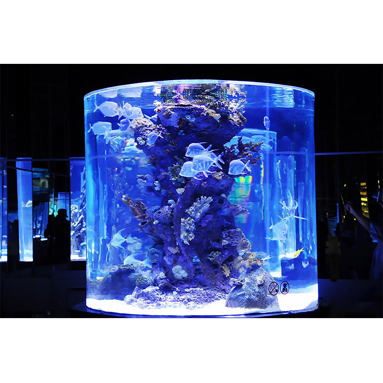 Custom High Transparency Cylindrical Shape Home Fish Tank Aquarium Large Acrylic