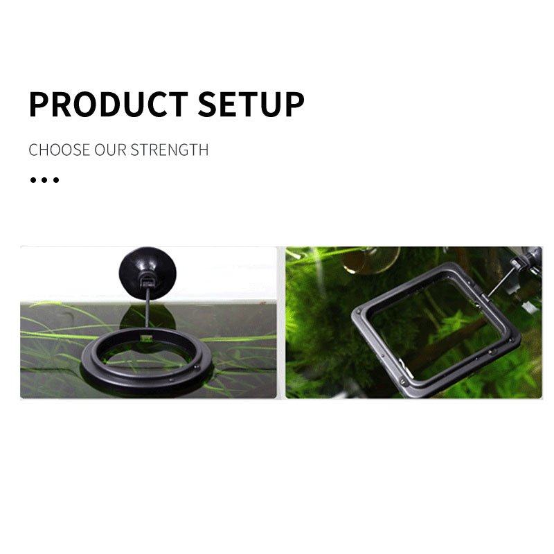 ZRDR Aquarium Fish Tank Fish Food Feeding Automat Plastic Circle Ring Fish Feeding Tools