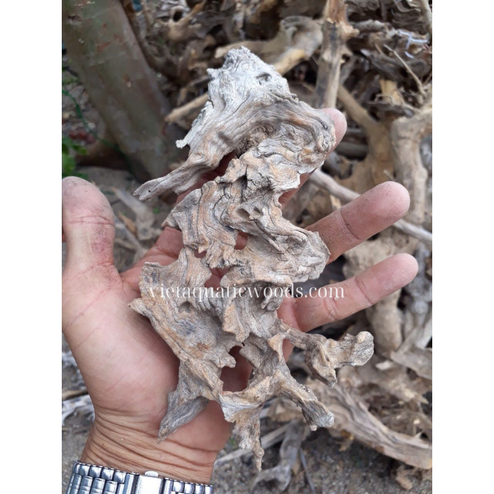 Top rated Natural Driftwood For Aquarium Decoration fish tank decoration WhatsApp +84 961 005 832
