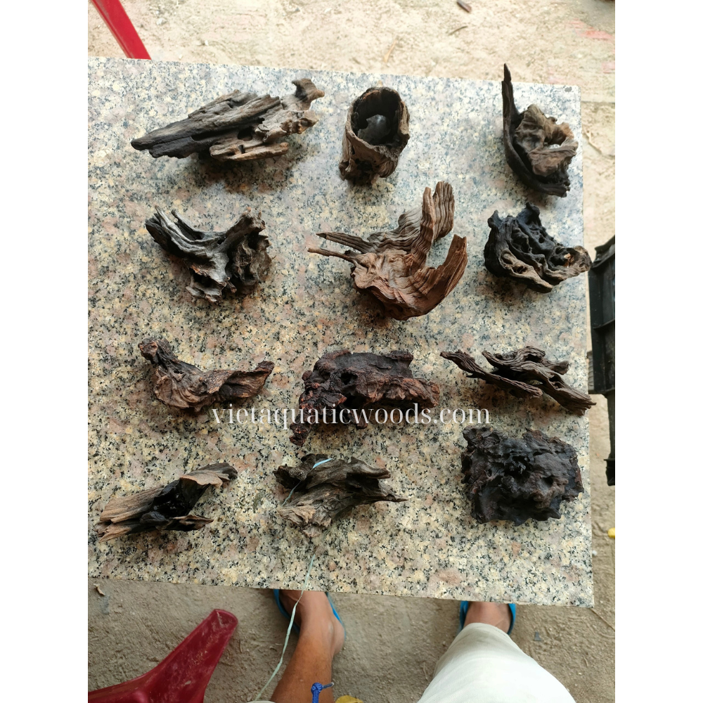 Top rated Natural Driftwood For Aquarium Decoration fish tank decoration WhatsApp +84 961 005 832