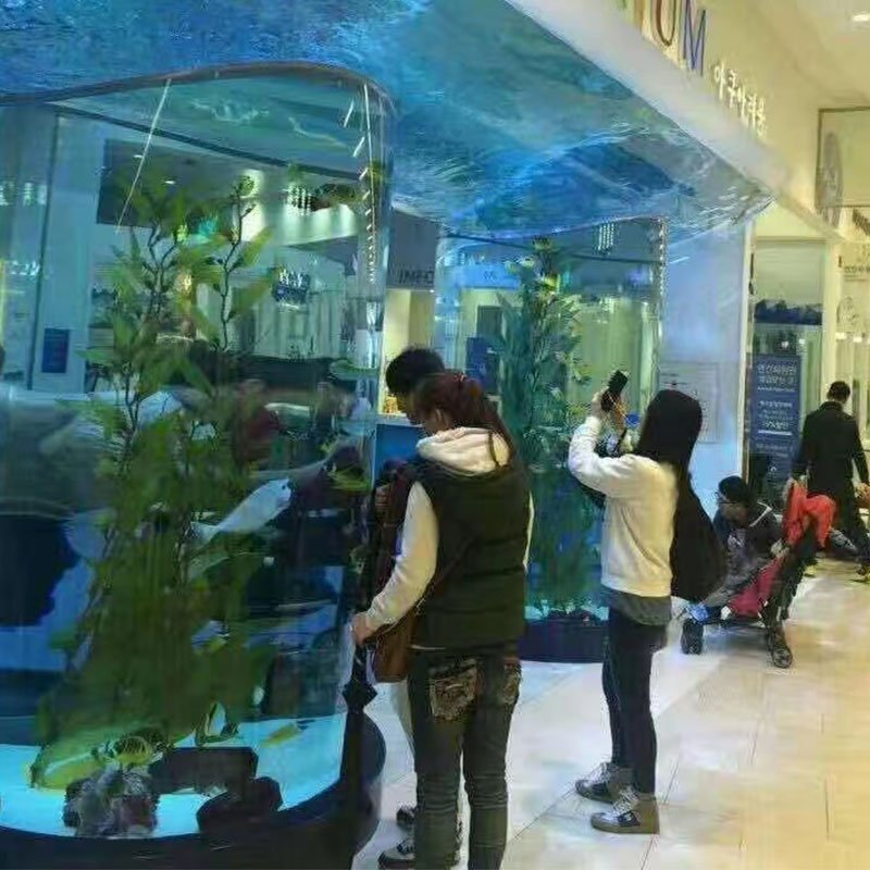 Factory Custom Cylindrical Acrylic Fish Tanks Aquarium Designed for Your Unique Aquatic Vision