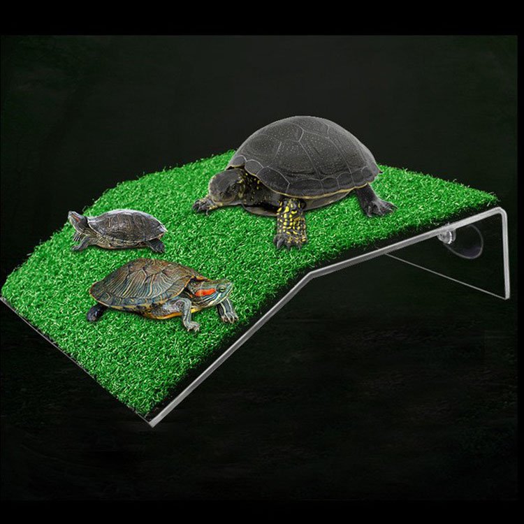 High Water Level Turtle Drying Platform Fish Tank Ladder Plastic Opp Bag Aquariums & Accessories Air Pumps & Accessories