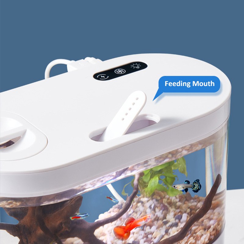 Mini Fish Tank Desktop Aquarium with Switch Button LED and Automatic Circulation System