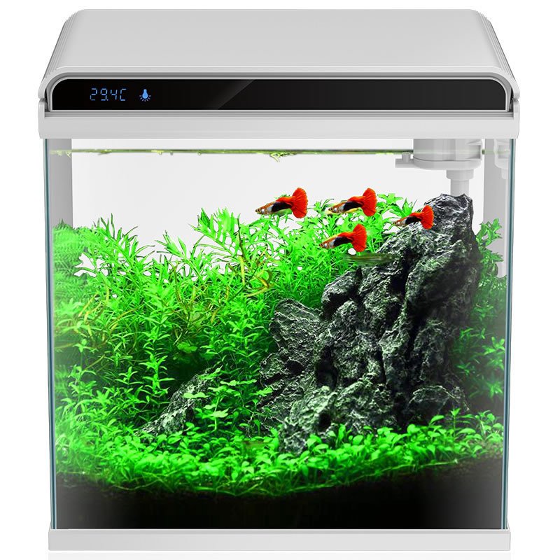 Factory Direct Transparent Fish Tank Glass Aquarium Starter Kit Desktop Aquarium Kit