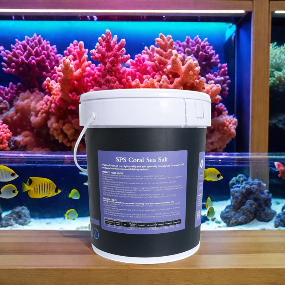 OEM SPS Customized Aquarium Marine Ornamental Glass Coral Sea Salt Stocked Features