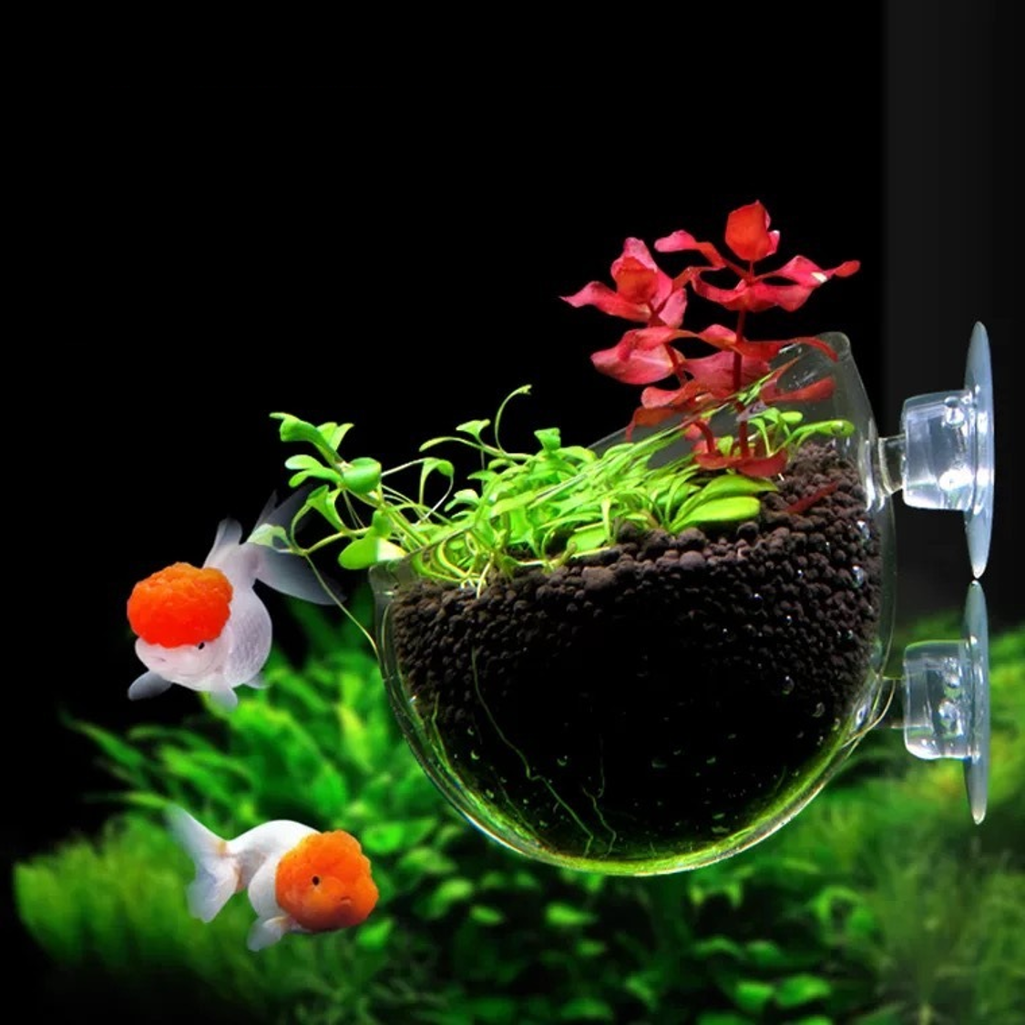 Aquarium Plant Pot Fish Tank Glass Holder Carton Box Decorations & Ornaments Transparent Round Fish Glass Blow Propogation Glass