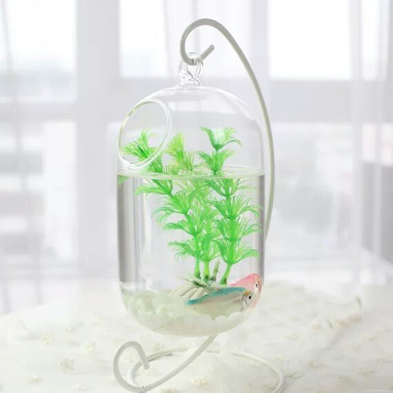Desktop Hanging Glass Fish Tank Mini Grass Fun Fish Tank Clear Fish Cylinder Bowl Iron Stand Holder Aquarium Accessories Flower
