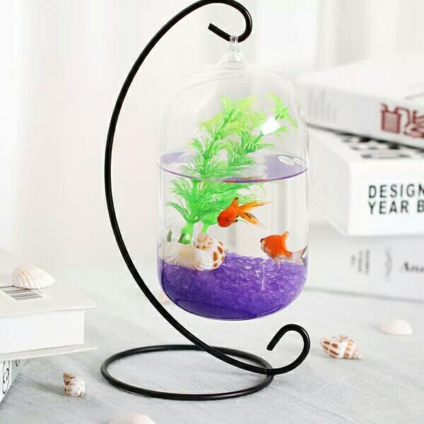 Desktop Hanging Glass Fish Tank Mini Grass Fun Fish Tank Clear Fish Cylinder Bowl Iron Stand Holder Aquarium Accessories Flower