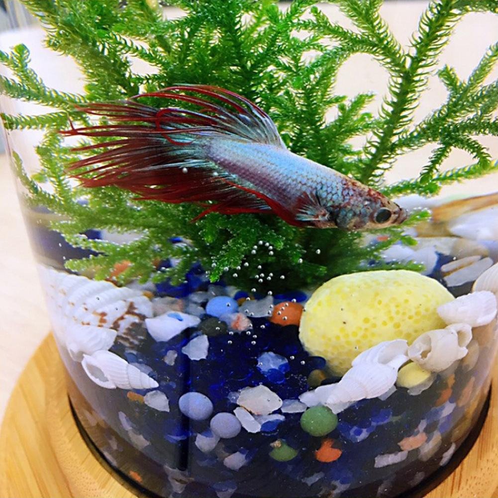 Unique Revolving Desktop 360 Degree Fish Tank With Glass Square Jar Fish Tank Aquarium For Home Office Decoration