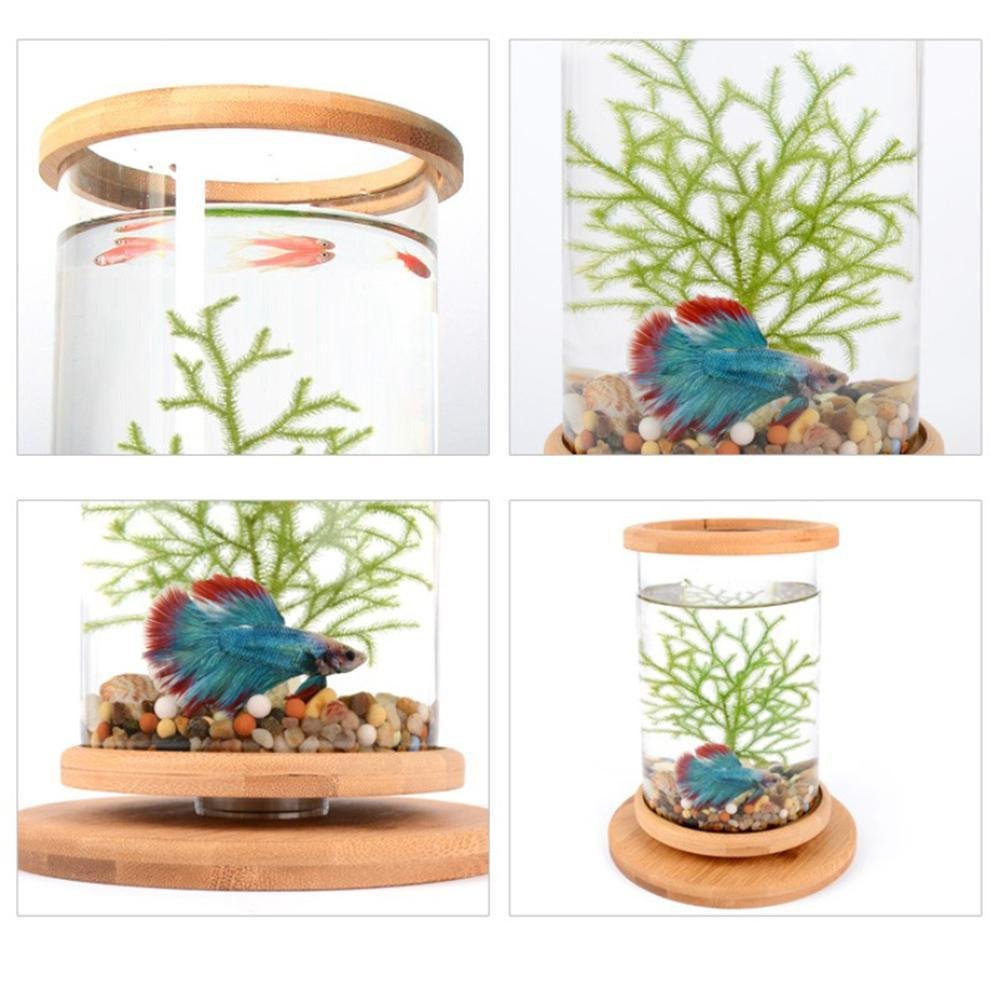 Unique Revolving Desktop 360 Degree Fish Tank With Glass Square Jar Fish Tank Aquarium For Home Office Decoration
