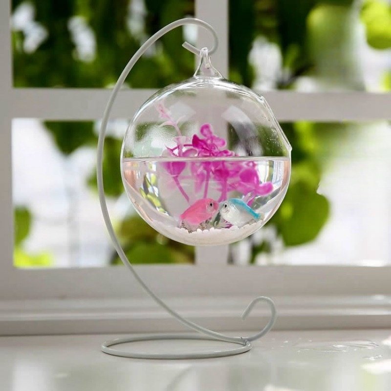Hanging Glass Aquarium Fish Bowl Flower Plant Vase Spherical Glass Betta Fish Tank Aquariums