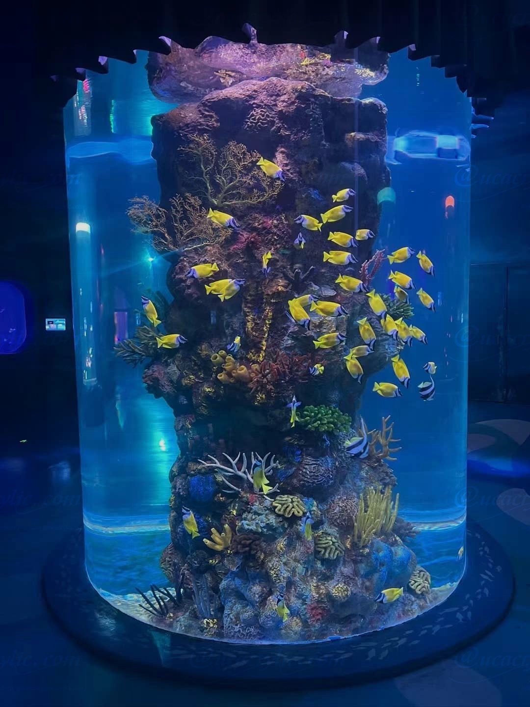 aquariums & accessories aquarium tank coral reef light aquarium fish tank acquario marino
