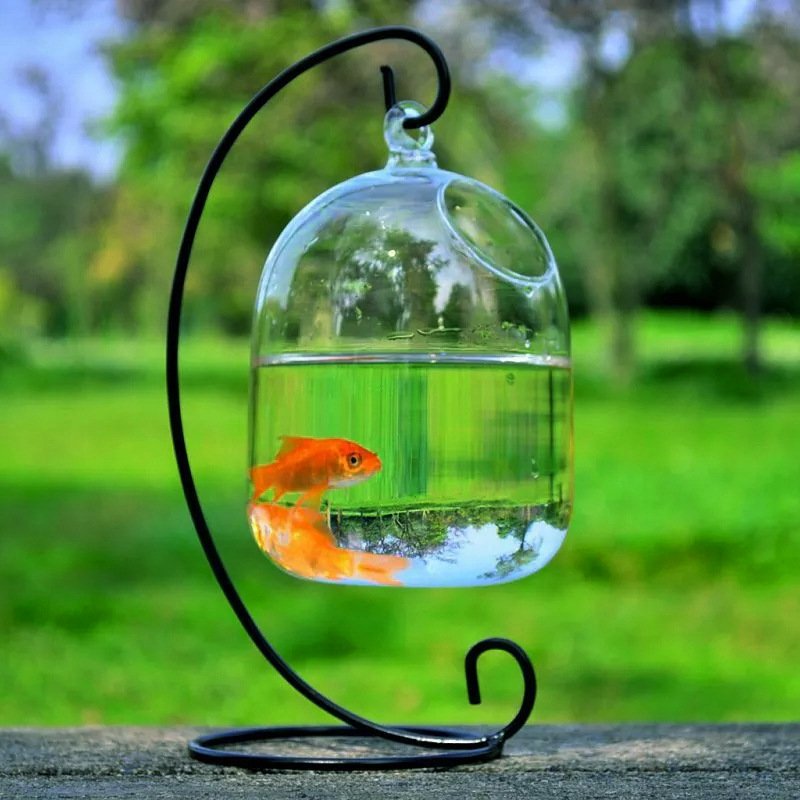 Custom Glass Aquarium Fish Tank Office Desktop Aquarium Mini Fish Tank