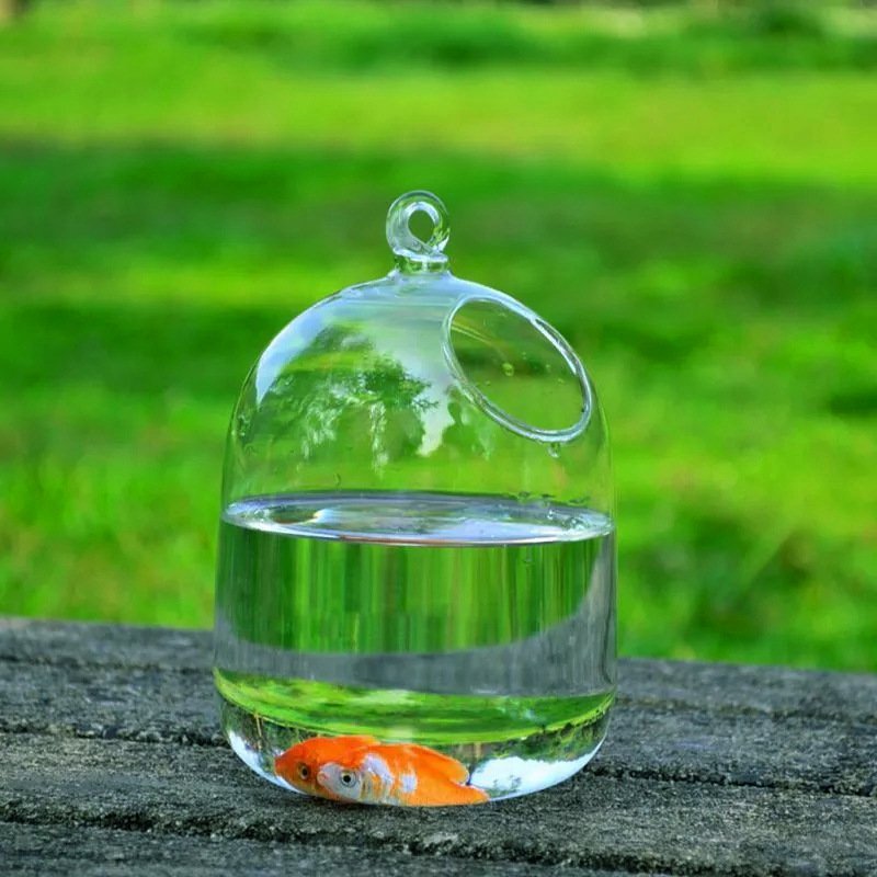 Custom Glass Aquarium Fish Tank Office Desktop Aquarium Mini Fish Tank