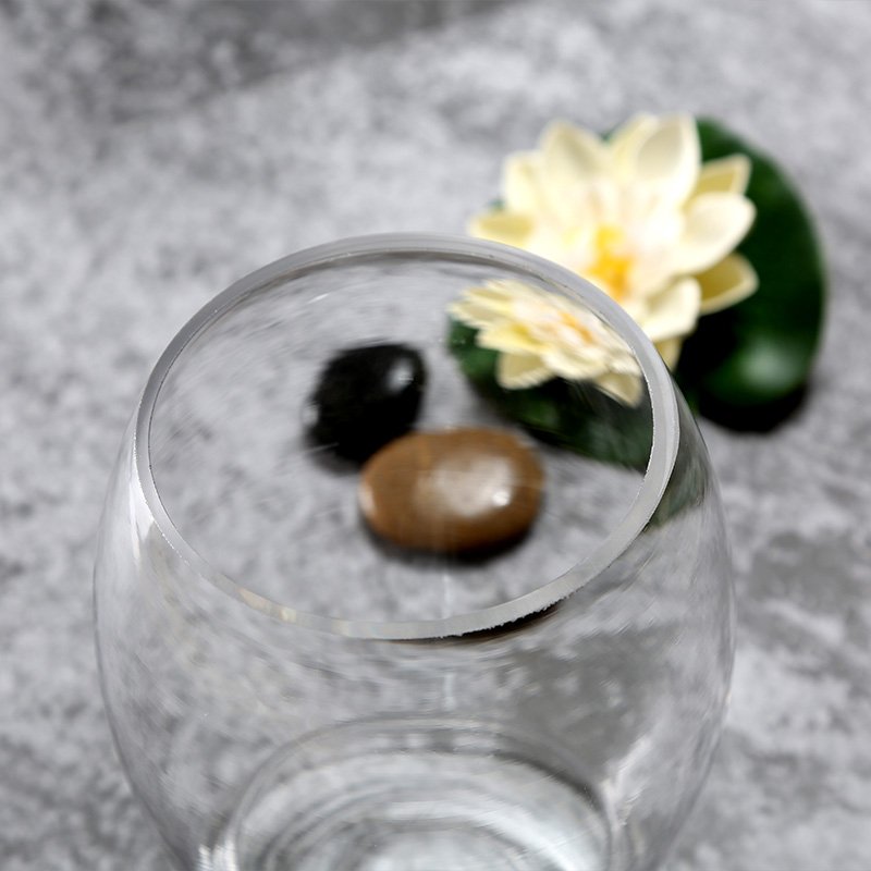 Decoration Water Plant Pot Glass Aquarium Fish Bowl Aquaponic Fish Tank