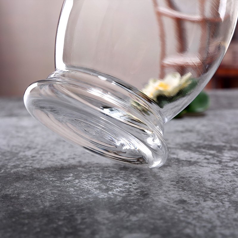 Decoration Water Plant Pot Glass Aquarium Fish Bowl Aquaponic Fish Tank