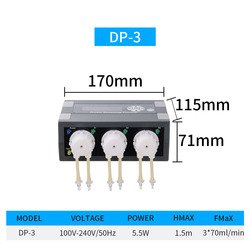 DP-3