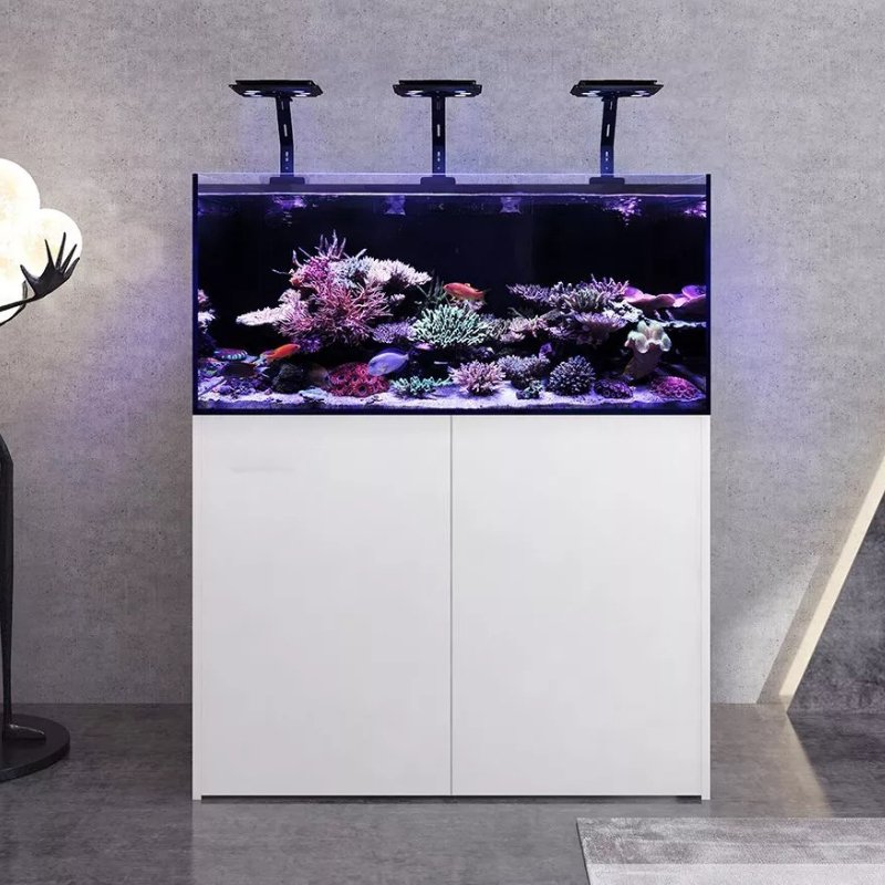 Custom Ultra Clear Glass Large Salt water Aquarium Fish Tank Marine Aquarium For Marine