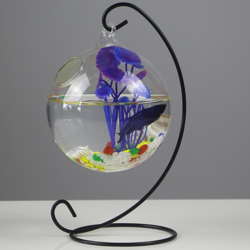 wholesale Factory Betta Desktop Fish Tank Aquarium Double Hanging Transparent Glass Fish Tank