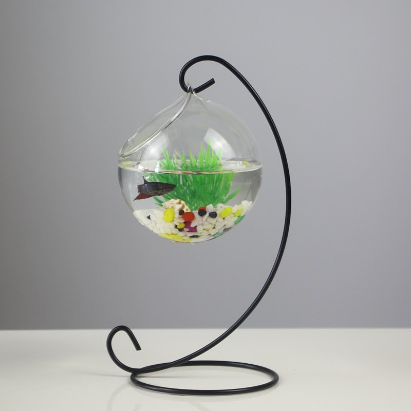 wholesale Factory Betta Desktop Fish Tank Aquarium Double Hanging Transparent Glass Fish Tank