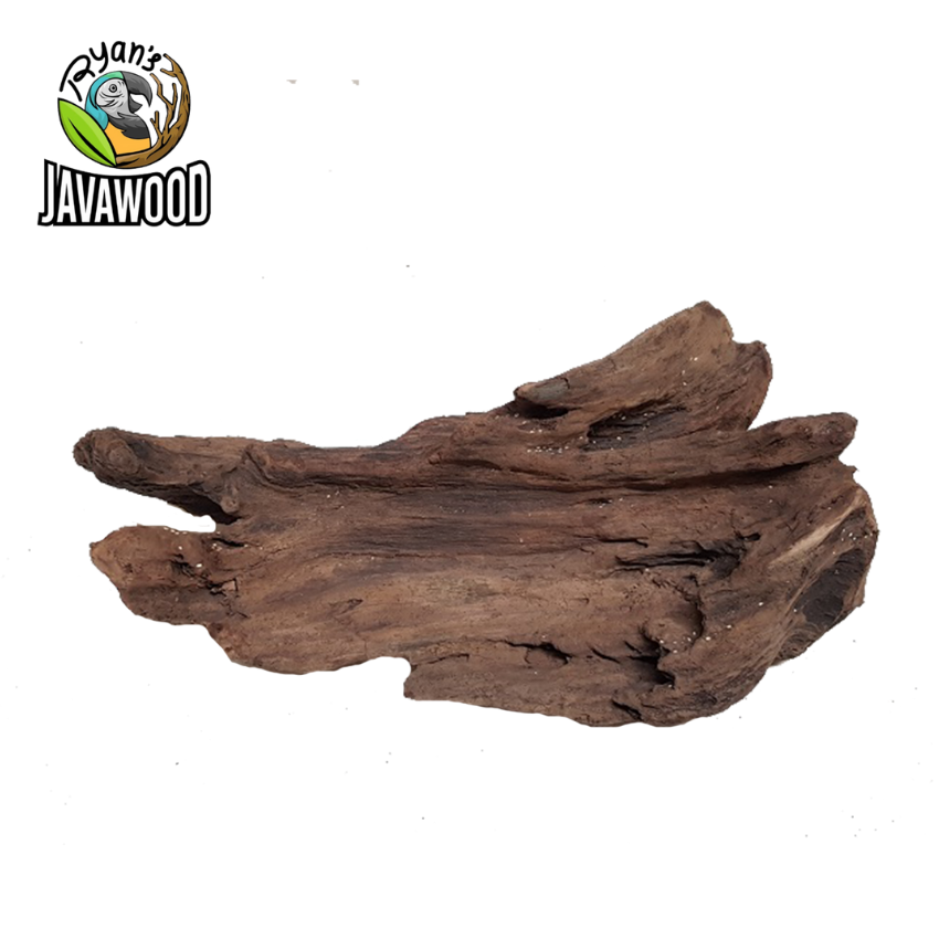 Wholesale High Quality Decoration Aquarium Natural Wood Malaysian Driftwood Mangrove from Central Java Indonesia