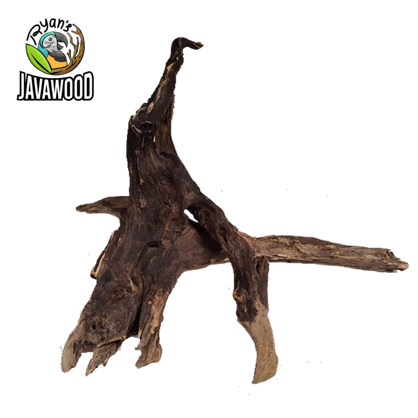 Wholesale High Quality Decoration Aquarium Natural Wood Malaysian Driftwood Mangrove from Central Java Indonesia