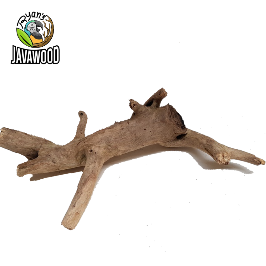 Wholesale High Quality Decoration Aquarium Natural Wood Malaysian Driftwood Mangrove from Central Java Indonesia