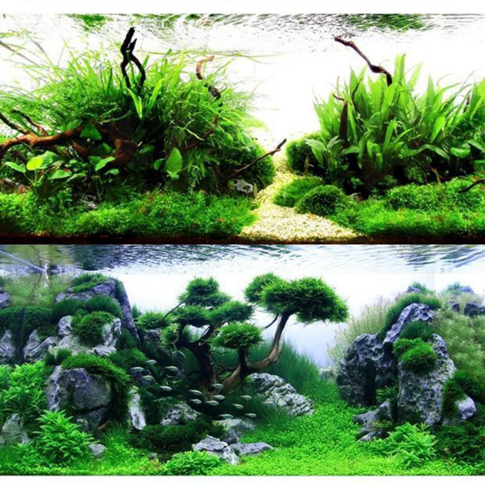Wholesale aquatic soil for fish tanks stable and porous natural soil for planting water plants and aquatic plants