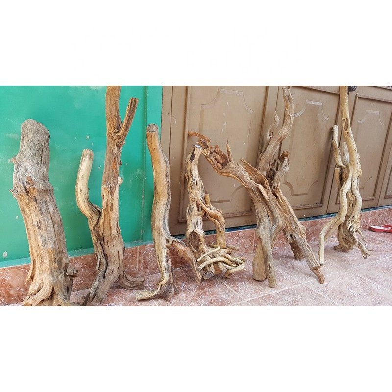 The Best Price Natural Aquarium Driftwood 2024 for wholesale WhatsApp +84 937 545 579