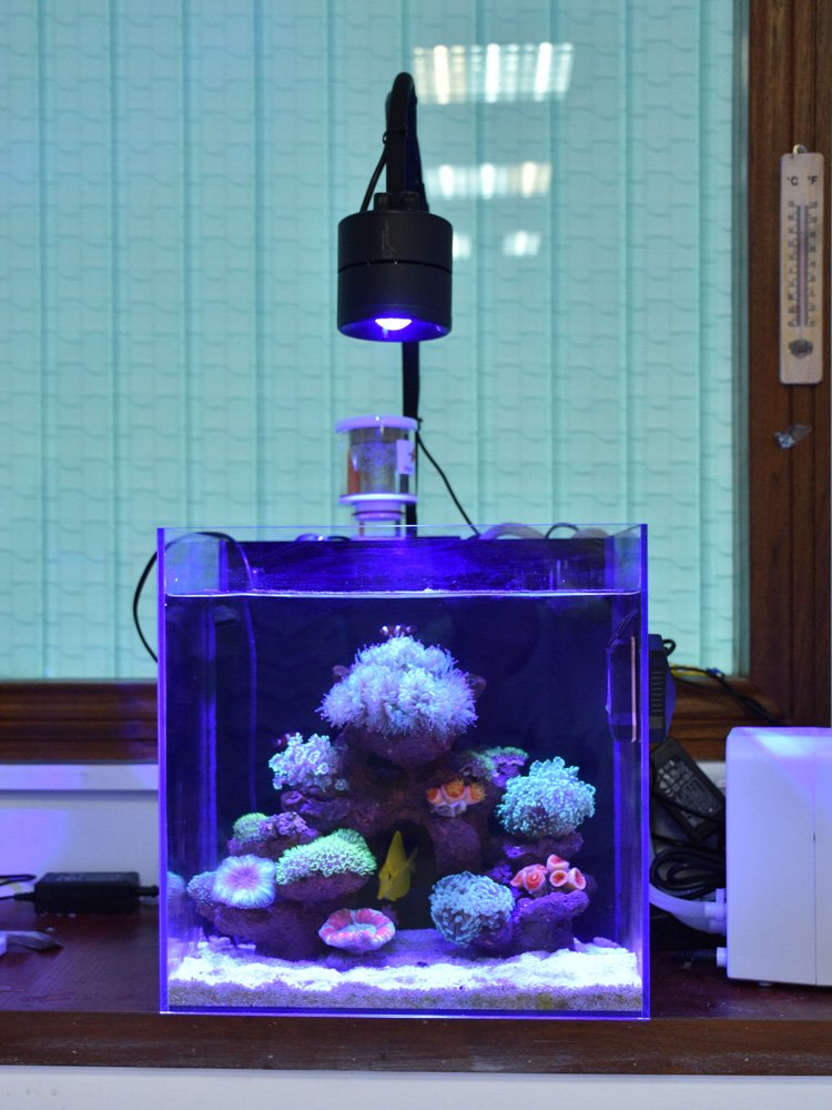 05 A.S. reef scaping set for 120CM fish tank Aquarium scaping bio-active rocks aquarium filter function
