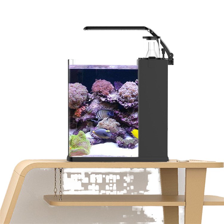 Table Curvedcurved Saltwater Marine Fish Tank Aquarium
