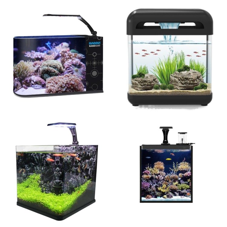 Table Curvedcurved Saltwater Marine Fish Tank Aquarium