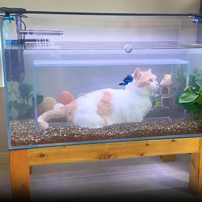 Cat House&Condos Toy Fish Aquarium Tank Creative Funny Aquariums with Interior Space for Cats to Watch Small Animals to Play