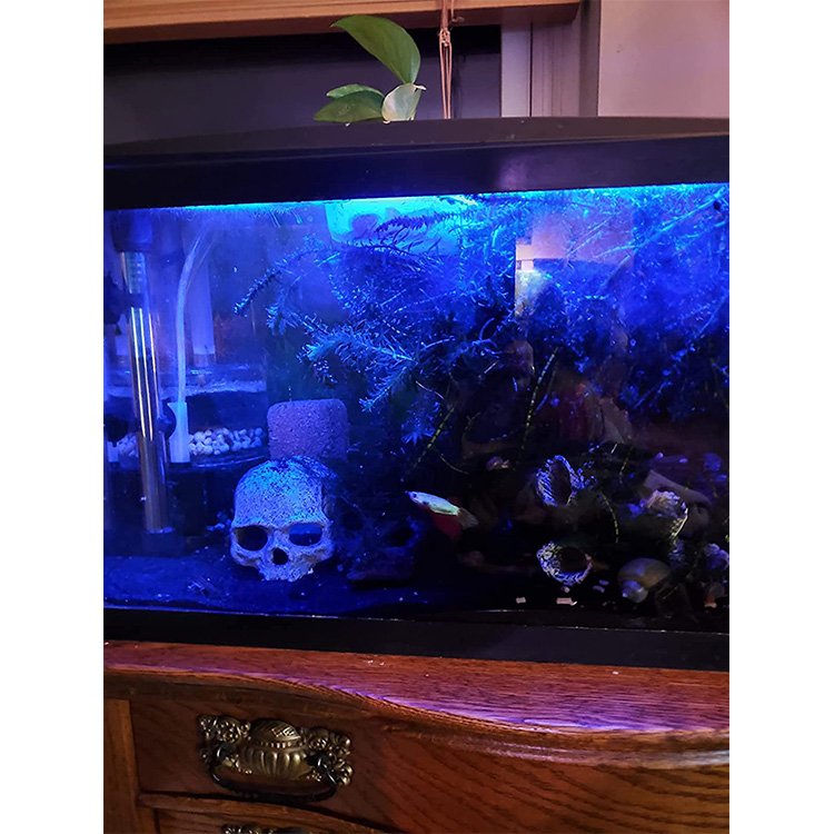 Fullgain 48 Inch Cheap Aquarium Decorative Lamp Fish Tank Grow Light Sunrise Sunset Led Aquarium Light Controller Made From Chin